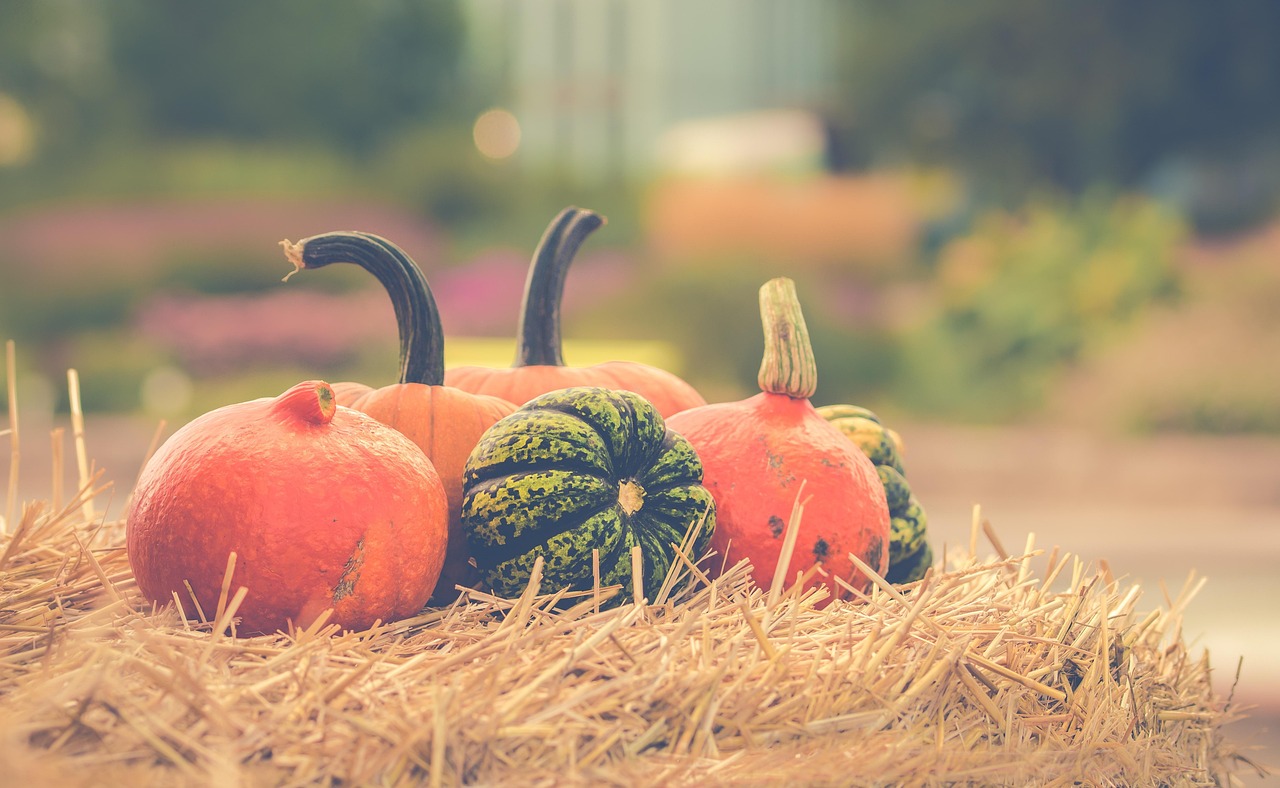 Google's October Changes to Display & Video 360 API: What Small Teams and Solo Creators Need to Know
